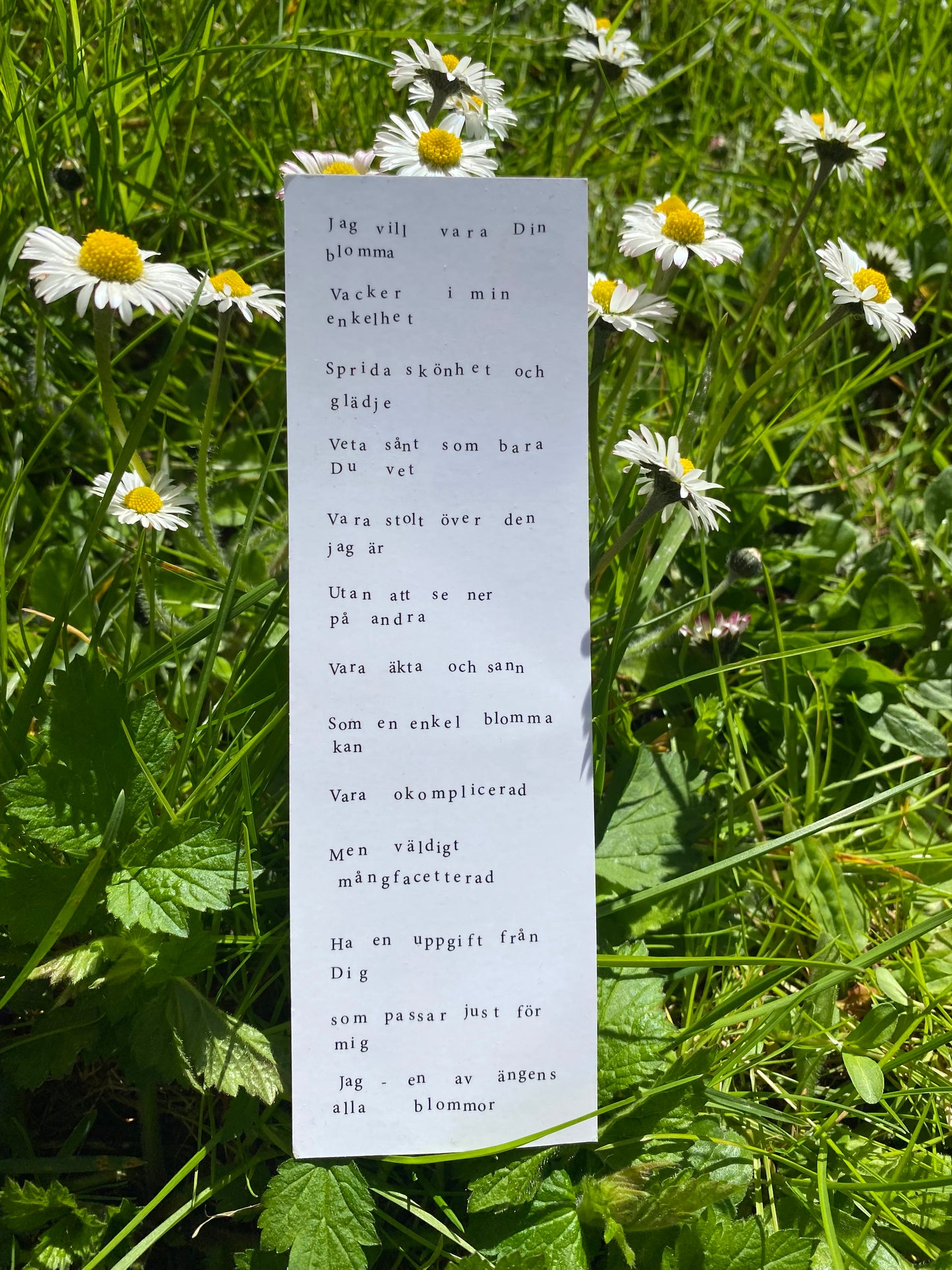 Bokmärke "Jag vill vara Din blomma"